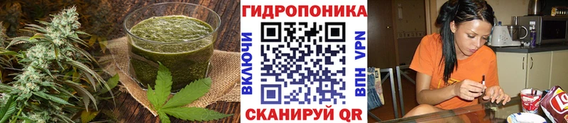 OMG зеркало  Усть-Илимск  Еда ТГК конопля  наркота 