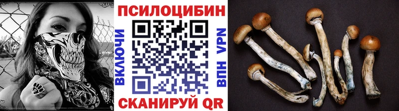 Галлюциногенные грибы Psilocybine cubensis  закладки  Усть-Илимск 