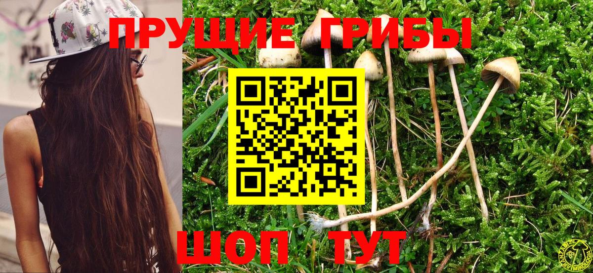 Псилоцибиновые грибы ЛСД  Вход с VPN  Усть-Илимск 