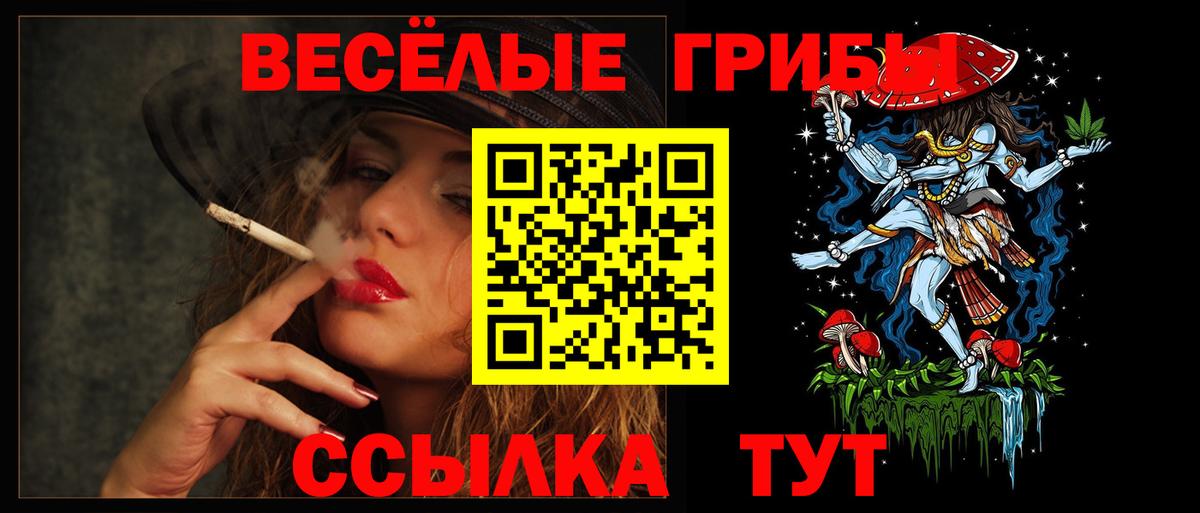 Галлюциногенные грибы прущие грибы Усть-Илимск